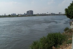 Nile