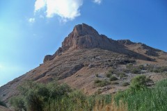 Arbel