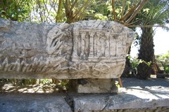 Capernaum3