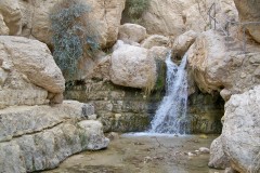 En-Gedi-hike