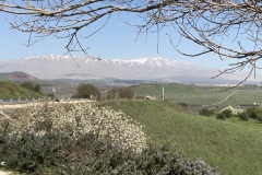 Mt-Hermon