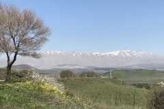 Mt-Hermon1